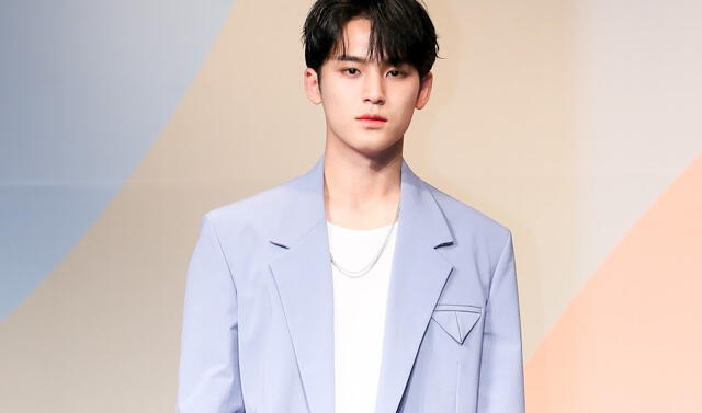 Mingyu — #36 Los Hombres más guapos de Corea del Sur