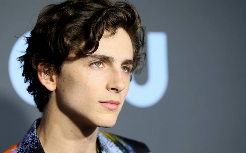 Timothée Chalamet — #25 Los actores más guapos de Hollywood